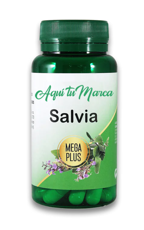 Salvia MEGAPLUS