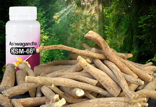 La ashwagandha contra el estrés físico y emocional