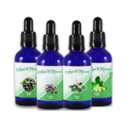 Extractos fluidos simples