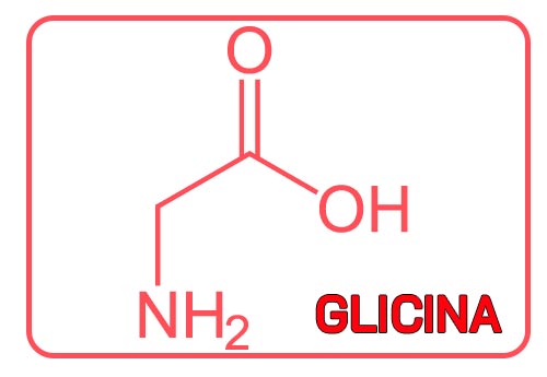 Glicina