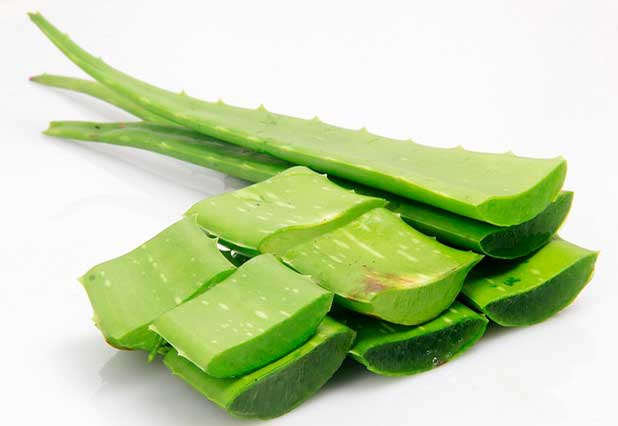 El jugo de Aloe Vera