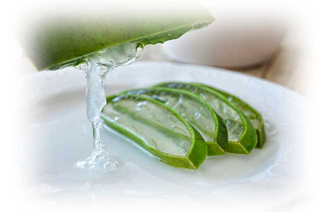 Beneficios del Aloe Vera